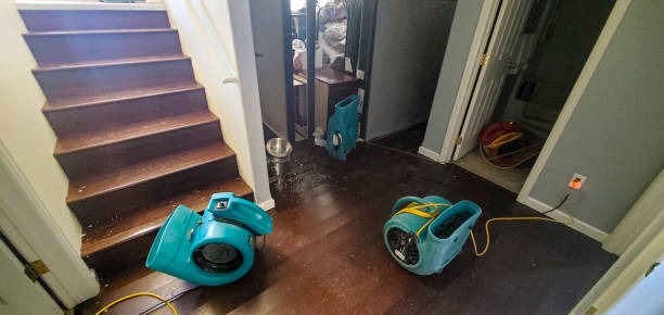Best 24/7 water damage repair  in Spencerville, MD