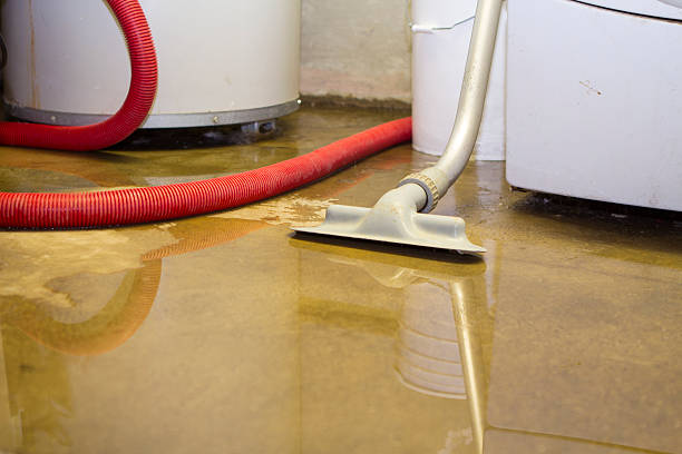Best Water damage restoration experts  in Spencerville, MD