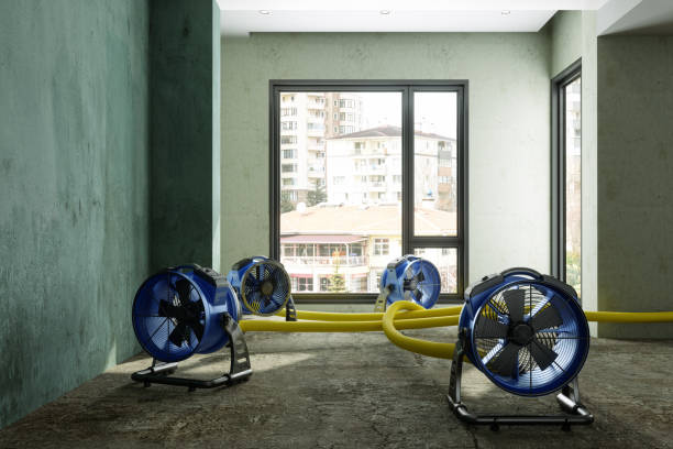 Best Sewage cleanup and water damage restoration  in Spencerville, MD