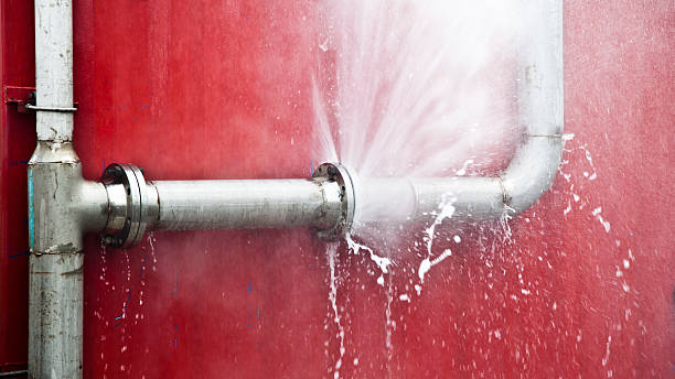 Best Mold removal after water damage  in Spencerville, MD